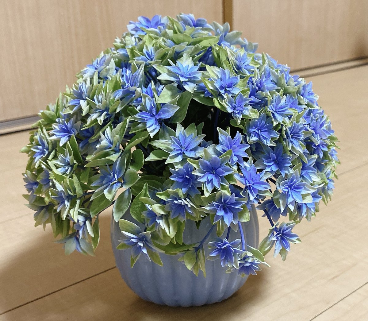 painofpine's tweet photo. ついに鉢に花は植えたし、切り花は変えた https://t.co/pRuu458lTh