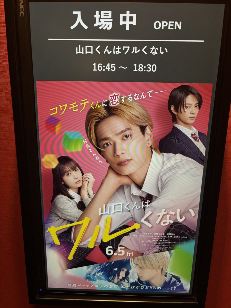 LAUGHprn's tweet photo. 恭平くん主演映画
山口くんはワルくない観てきたよ💜
なにわちゃん出演映画沢山で凄いよね！！
沢山楽しみあってありがたい☺️⟡.· https://t.co/18DnNnpcMQ