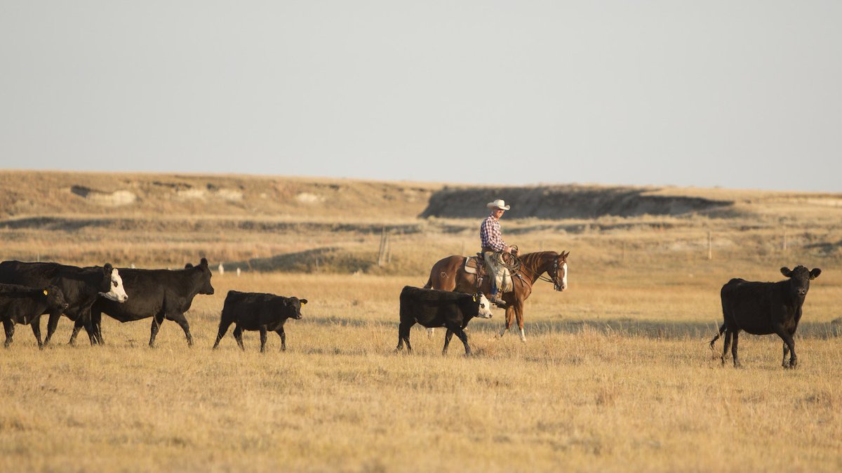 catholicjps's tweet photo. Great Plains Nationalism https://t.co/UEpIn7XKOH