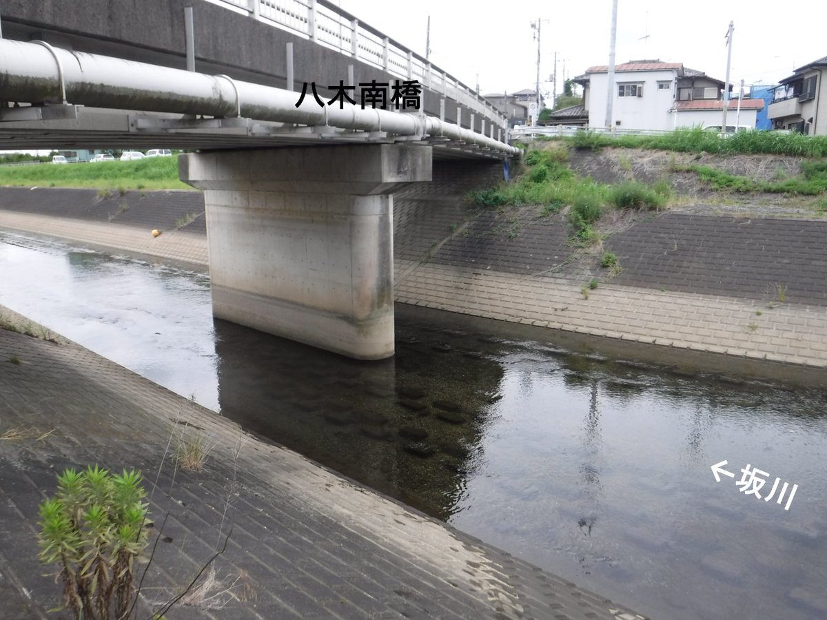 mlit_edogawa's tweet photo. 6/23（火）#江戸川河川事務所 が管理する坂川で確認された特定外来生物「ナガエツルノゲイトウ」について、河川管理施設への影響を防止するための小規模駆除活動を実施しました。
職員含む4人の作業により、江戸川への流入を防ぐことができました。

#特定外来生物駆除 #ナガエツルノゲイトウ #坂川 https://t.co/0WLulzkfBD