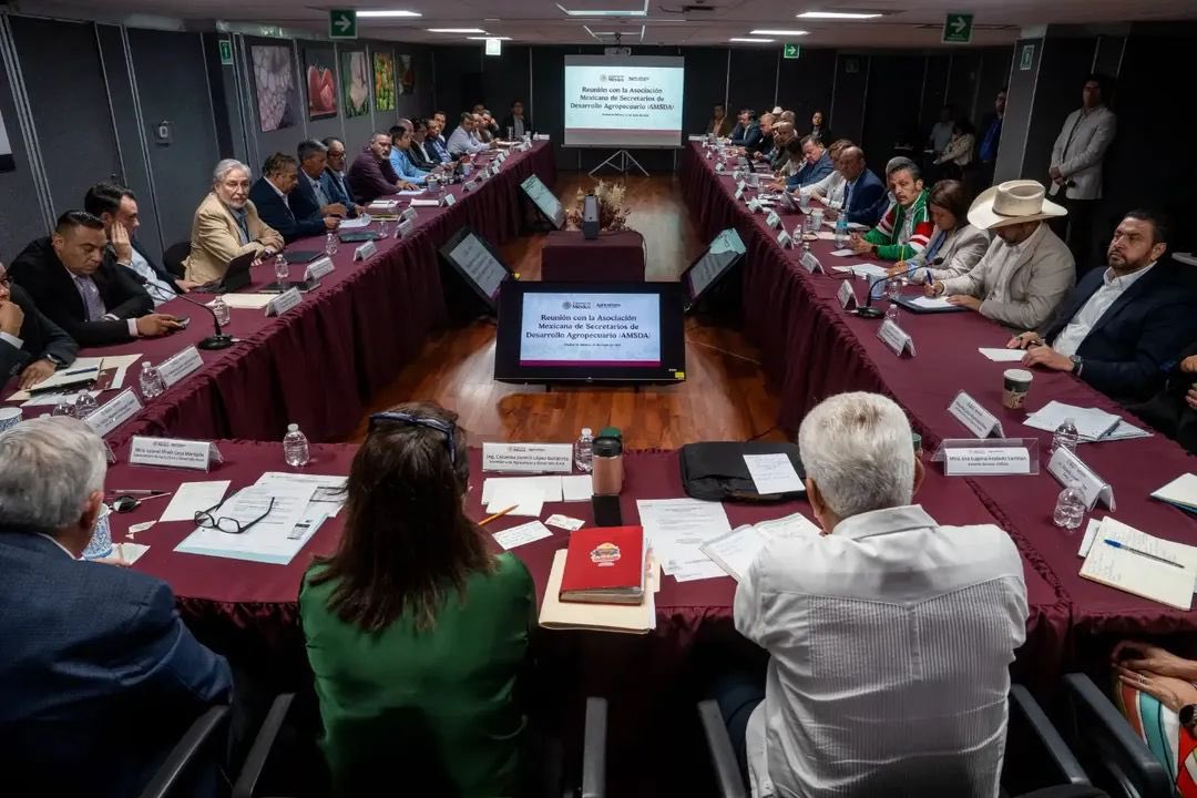 SEDARPAVer's tweet photo. 🚜 | Participamos en la reunión, convocada por @Agricultura_mex, para dar seguimiento a las acciones para el bienestar y desarrollo de las comunidades productivas del campo.

La transformación del campo se construye sumando esfuerzos y trabajando desde el territorio.🌾👩‍🌾 https://t.co/KTbYMGElL6