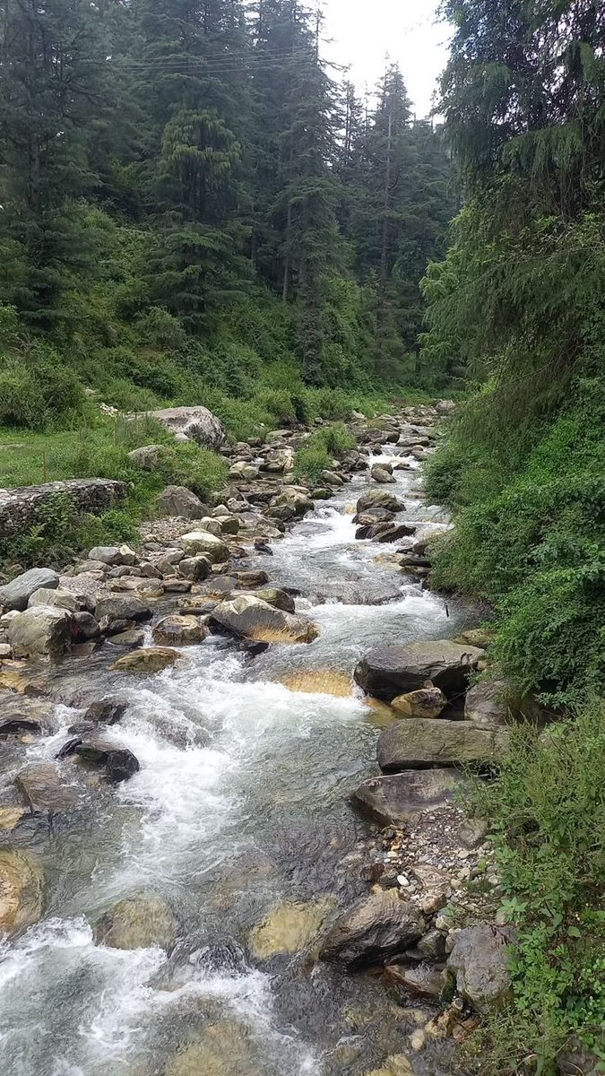 RajeshS69996207's tweet photo. यदि sawal सुकुन का होता ?
तो मेरा जवाब
Tum, main or Pahad होते !🏔️
📍
#Tirthan Valley
#Himachal_Pradesh
#Nature
#Naturebeauty https://t.co/fz10S9Qfr9