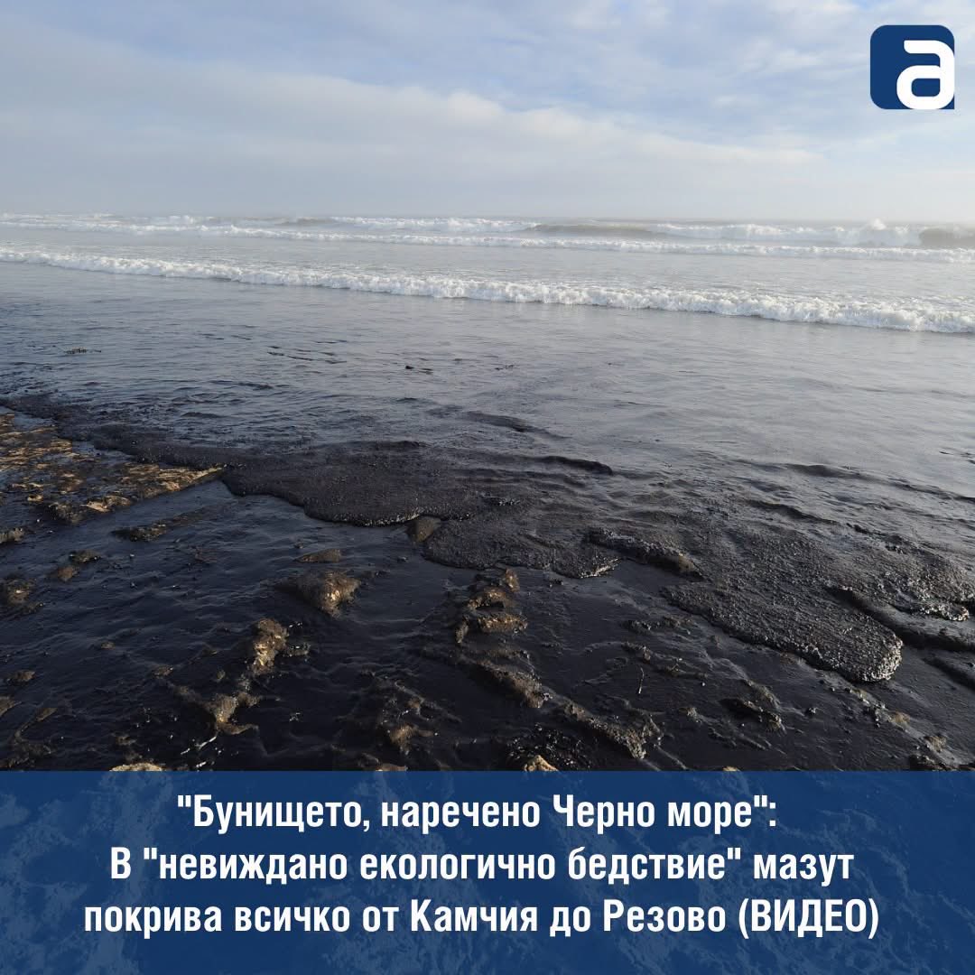 Gravity_Sf's tweet photo. Има нещо много положително в управлението на Чорапа. 
Когато БГ Черноморието е оплескано с мазут и властта 1 седмица гузно мълчи, то е ясно, че мазутът е руски, какъв да е? https://t.co/3oJ96f60kN
