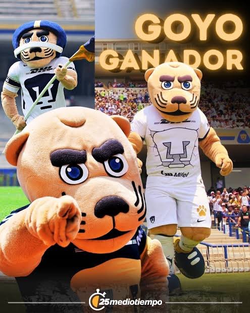 Ing. Edd 🇲🇽🇷🇺🇵🇸 tweet media