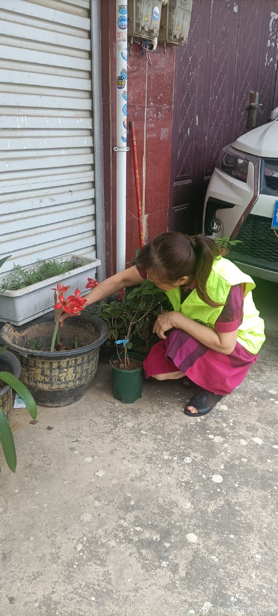 scudder3520's tweet photo. [Community Garden Weekend: Join us this Sat 9am-12pm to plant veggies, make friends u0026 grow fresh produce! All tools provided, just bring your energy. See you there! ]， https://t.co/ET3HZSGhBt