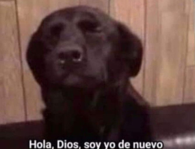 Memes UNA tweet media