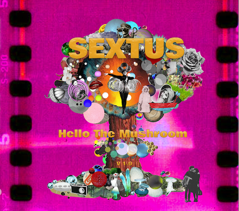Sextus tweet picture