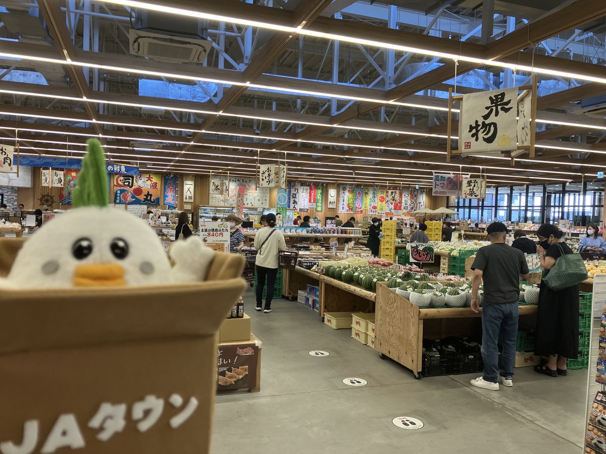 JA_JAtown's tweet photo. #じぇー太 のお土産🛍️

じぇー太は高知県のファーマーズマーケット「とさのさと」で「ミレービスケット」をゲット🍊
フォロー＆リポストで抽選1名様にプレゼントするじぇ～❣️
詳細👉https://t.co/wAkfQgKkLj
〆切👉2026/6/26

#JAタウン「とさのさとアグリコレット」もチェック❗
👉https://t.co/jKRqPlhpWc