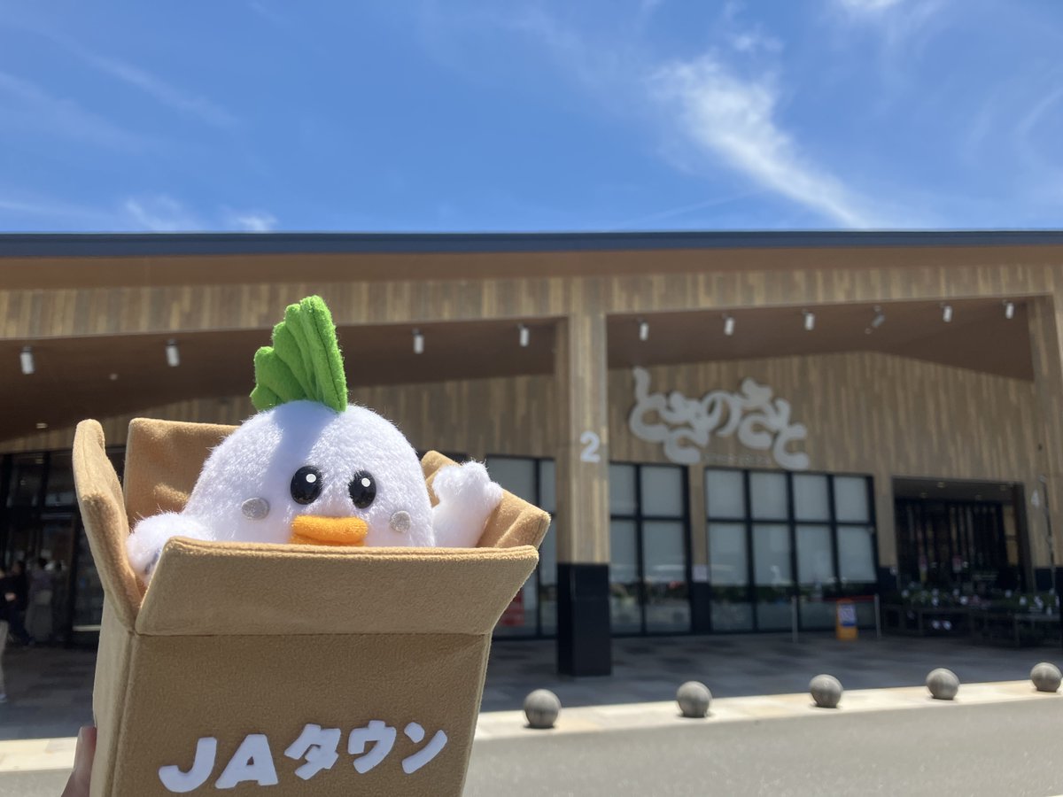 JA_JAtown's tweet photo. #じぇー太 のお土産🛍️

じぇー太は高知県のファーマーズマーケット「とさのさと」で「ミレービスケット」をゲット🍊
フォロー＆リポストで抽選1名様にプレゼントするじぇ～❣️
詳細👉https://t.co/wAkfQgKkLj
〆切👉2026/6/26

#JAタウン「とさのさとアグリコレット」もチェック❗
👉https://t.co/jKRqPlhpWc