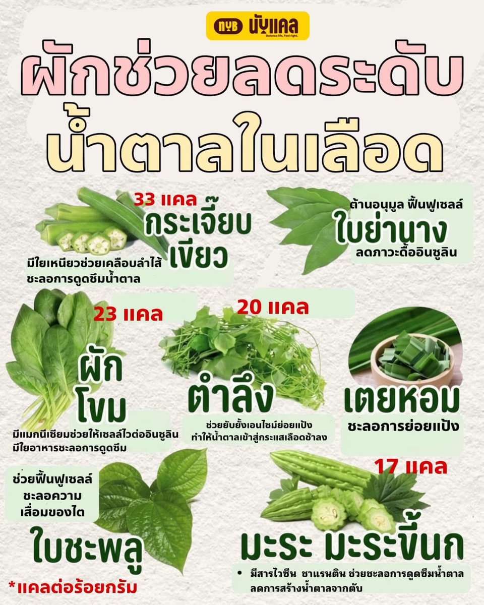 NarongAccord's tweet photo. กินผักบ้างนะ https://t.co/61mXQQF8OC