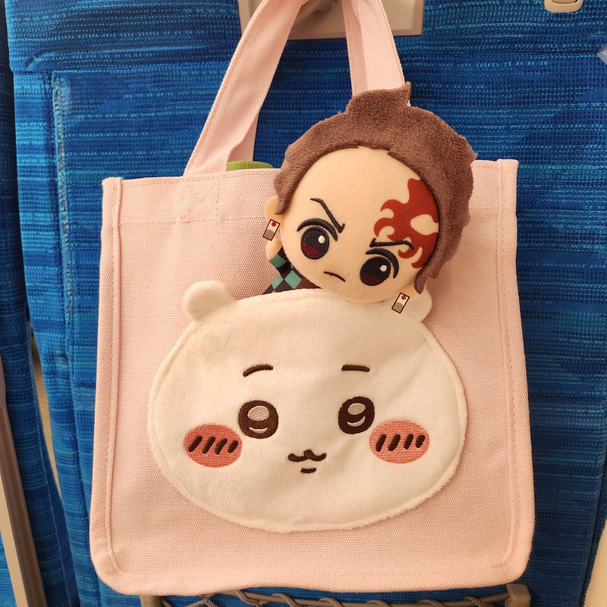 krkryyi's tweet photo. これは池袋のゲーセンで得たたんじろぬいとちいかわのバッグ

パークでもこのちいかわを見てキャストさんが話しかけてくれたし、たんじろは…モンタカナワで一緒に足湯にも入ってくれた笑

どっちも沼らず獲得できてうれぴ😂‼️ https://t.co/gaoxuF4E8s