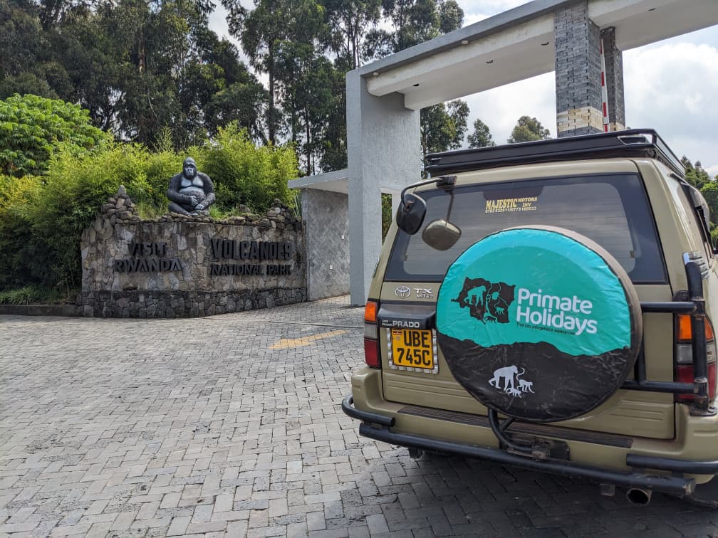 PrimateHolidays's tweet photo. 🦍 The journey to meet the world's gentle giants begins here.

Standing at the entrance of Volcanoes National Park, where unforgettable gorilla trekking adventures await in the heart of Rwanda.

#GorillaTrekking #VolcanoesNationalPark #VisitRwanda #PrimateHolidays #SafariAfrica https://t.co/BQnB1mRfLy