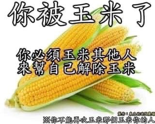 dearemon's tweet photo. 啊！我被玉米了！ https://t.co/YqV4Xnm5Ep