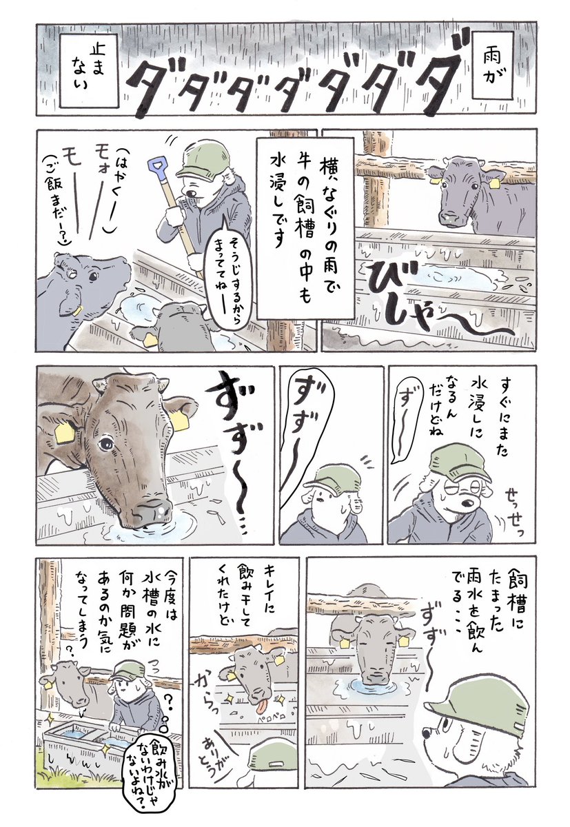 TDQFRYtruJY7ZxR's tweet photo. ☔️

日記です
こんだけ降ってるのに数日後に台風もくるなんて嘘でしょ…😨 https://t.co/wdBA3drxz7
