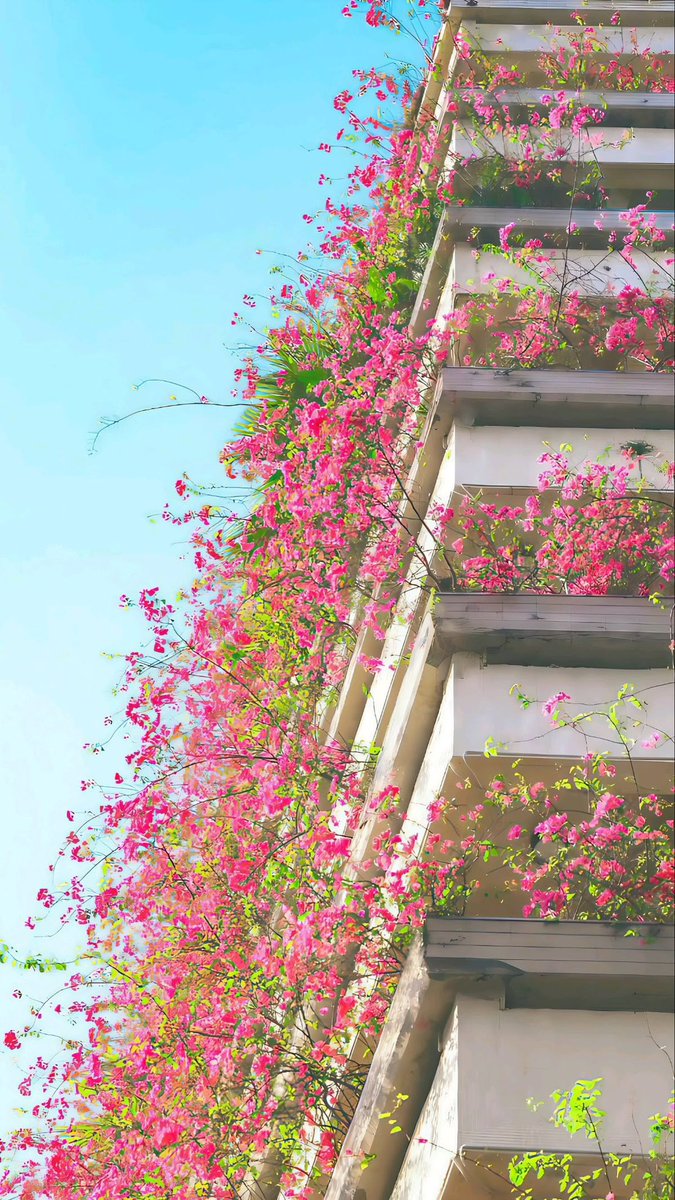 bloomele_'s tweet photo. beauty is everywhere https://t.co/8kGkjcx55l