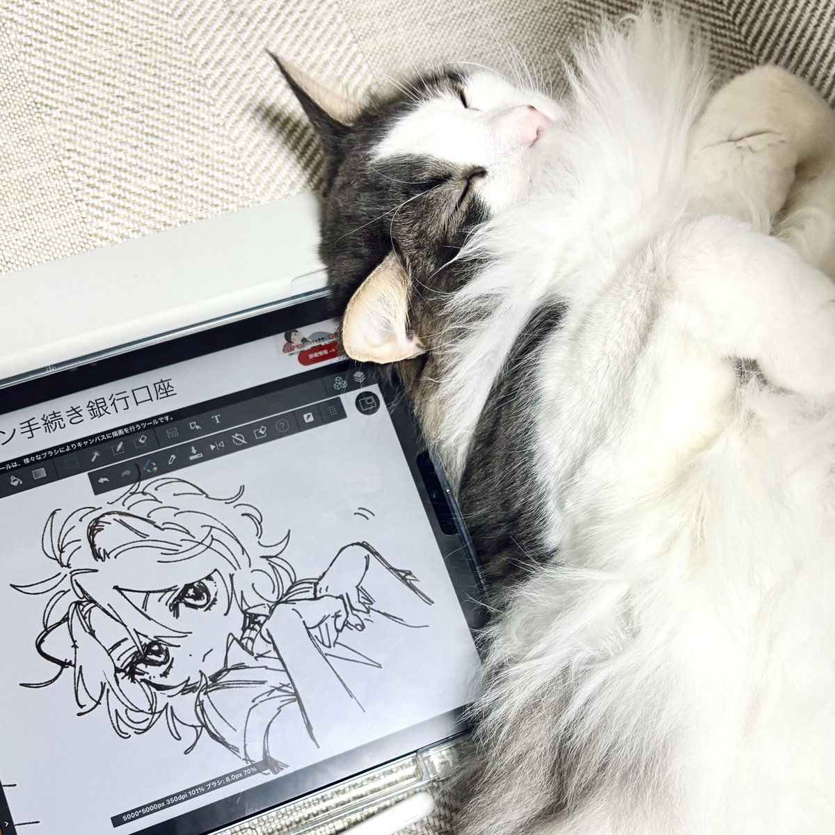 heki__30's tweet photo. 資料はいつもすぐそこに転がってます https://t.co/2OkGpWg32E