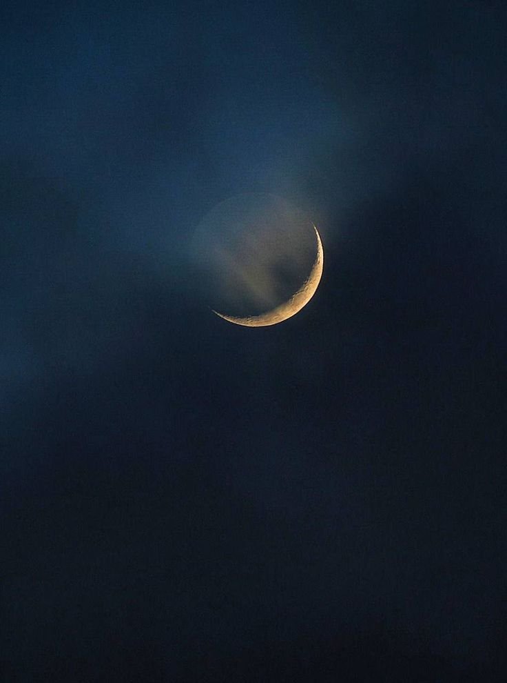 MOON tweet media