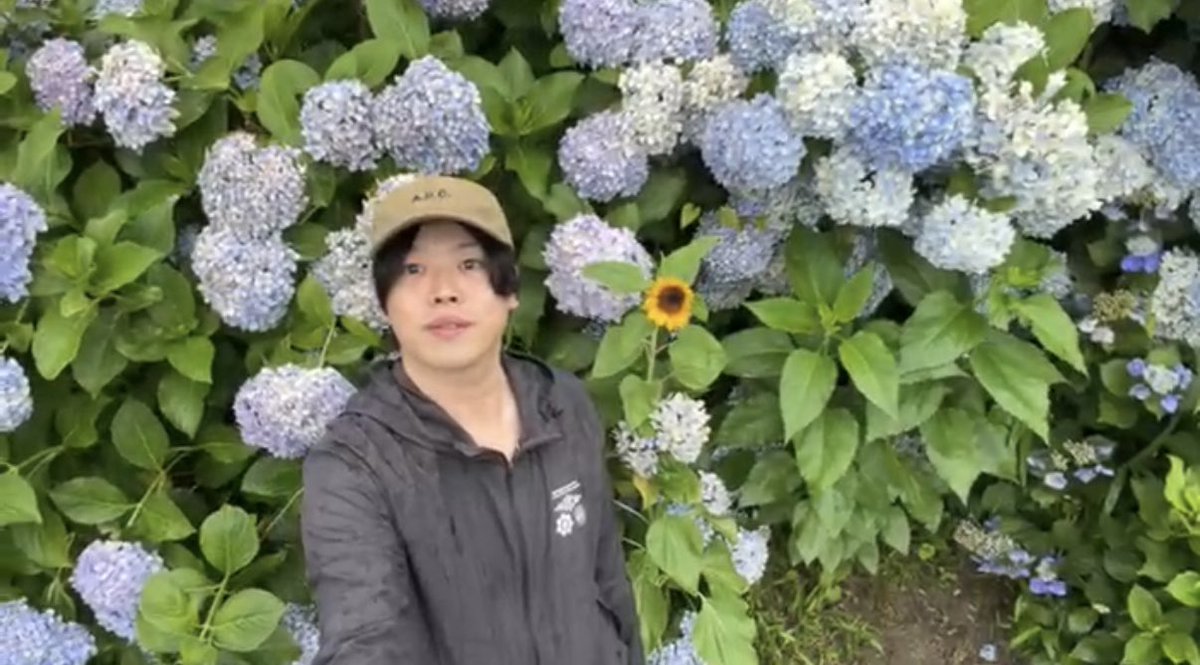 terabo4's tweet photo. あじさいの壁、見に来てくれてありがとう😊

雨の日だったけど、綺麗な紫陽花を見られてよかった🌧️🪷

みんなのおかげで素敵な時間になりました✨ https://t.co/H6eSNU92I6
