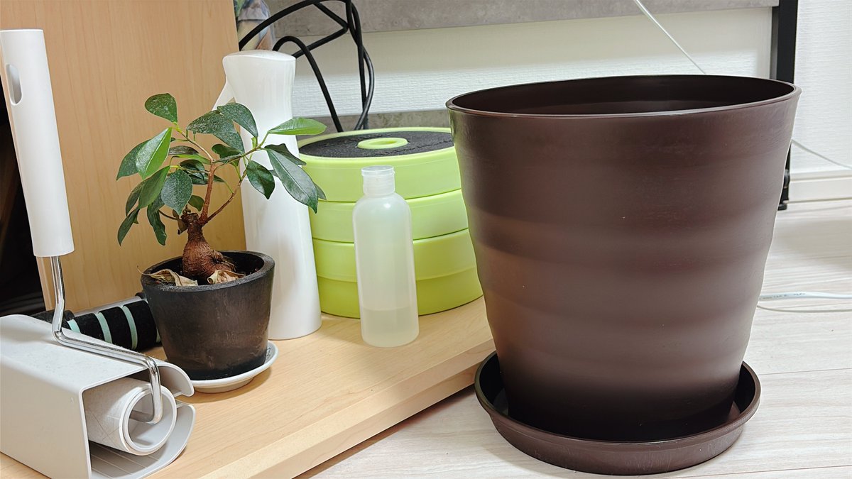 Luku69's tweet photo. 【速報】Amazonで買った鉢植え、8号サイズを8cmサイズと読み間違え24cmの鉢植えが到着。うちのガジュマルには荷が重すぎる大きさと話題に。 https://t.co/NwZTPzOU3Z