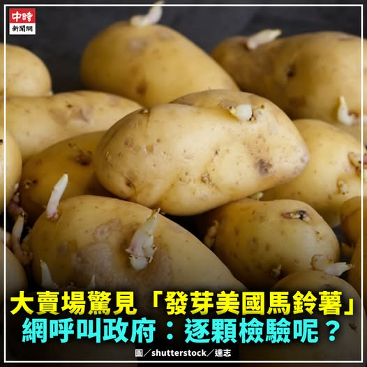 neowrps's tweet photo. 政府放寬美國進口食品檢測標準，Threads有網友PO出在大賣場買到美國馬鈴薯的影片，直呼幾乎一半是發芽的！ #發芽馬鈴薯 #美國 #龍葵鹼 #食安 https://t.co/OeQa8Tojvm