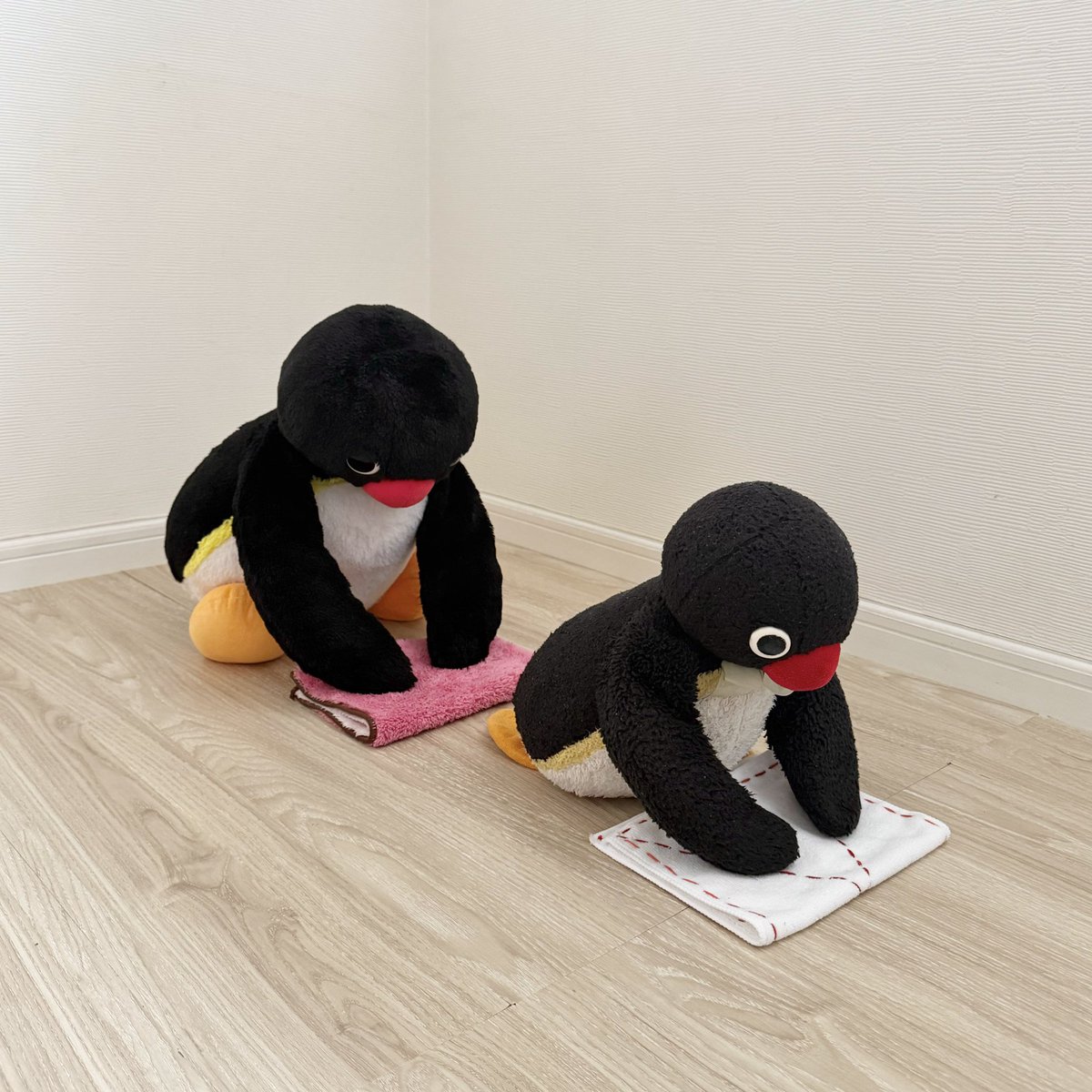 pingmyping's tweet photo. 🐧🧼 https://t.co/fPFA55flUU