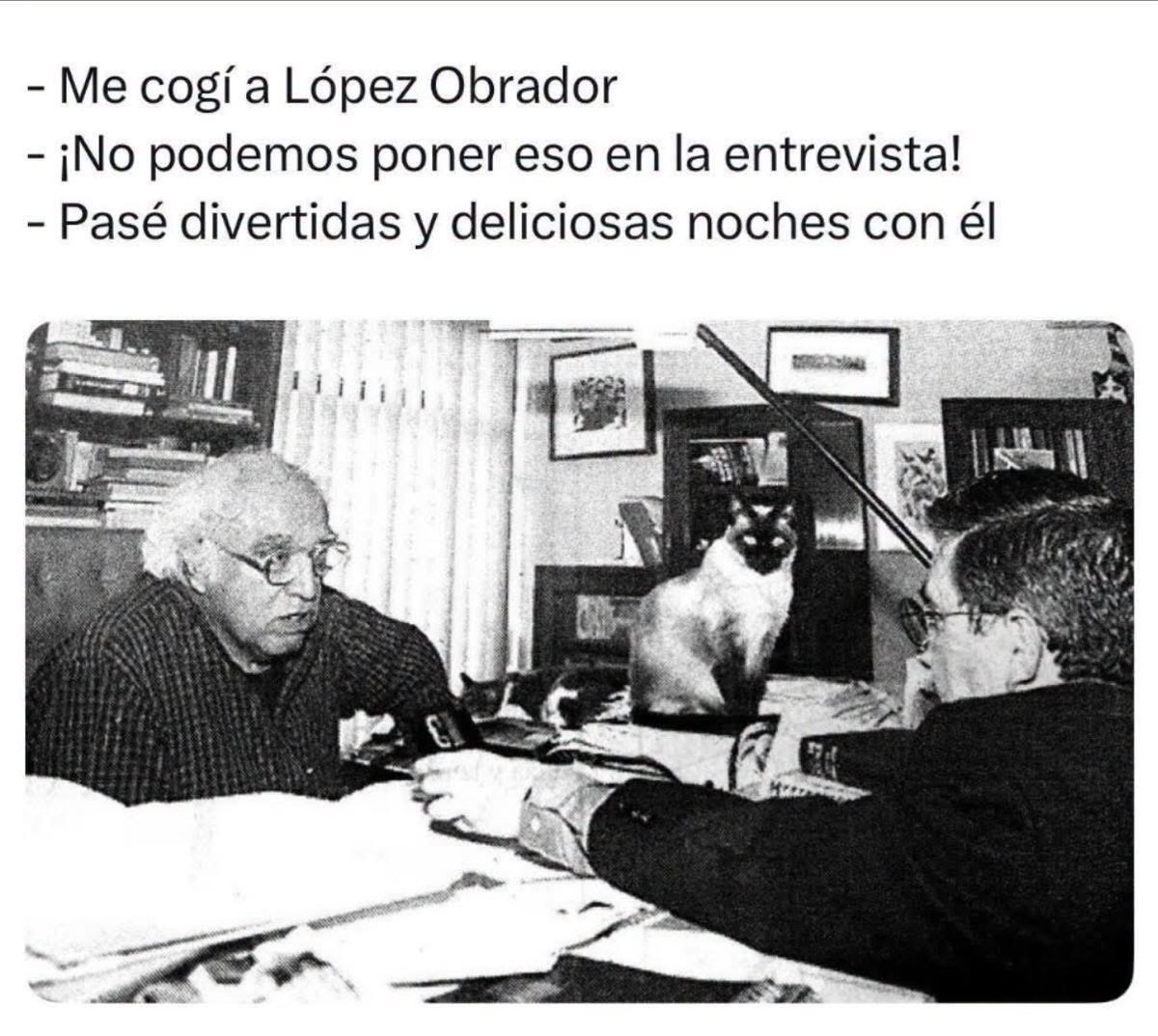 at0m0's tweet photo. @Hans2412 Atte al que Monsiváis le pisoteó algo más que la soberanía 🤷🏻‍♂️ #LaPerritaDeMonsiváis https://t.co/IHmpUkhdDA