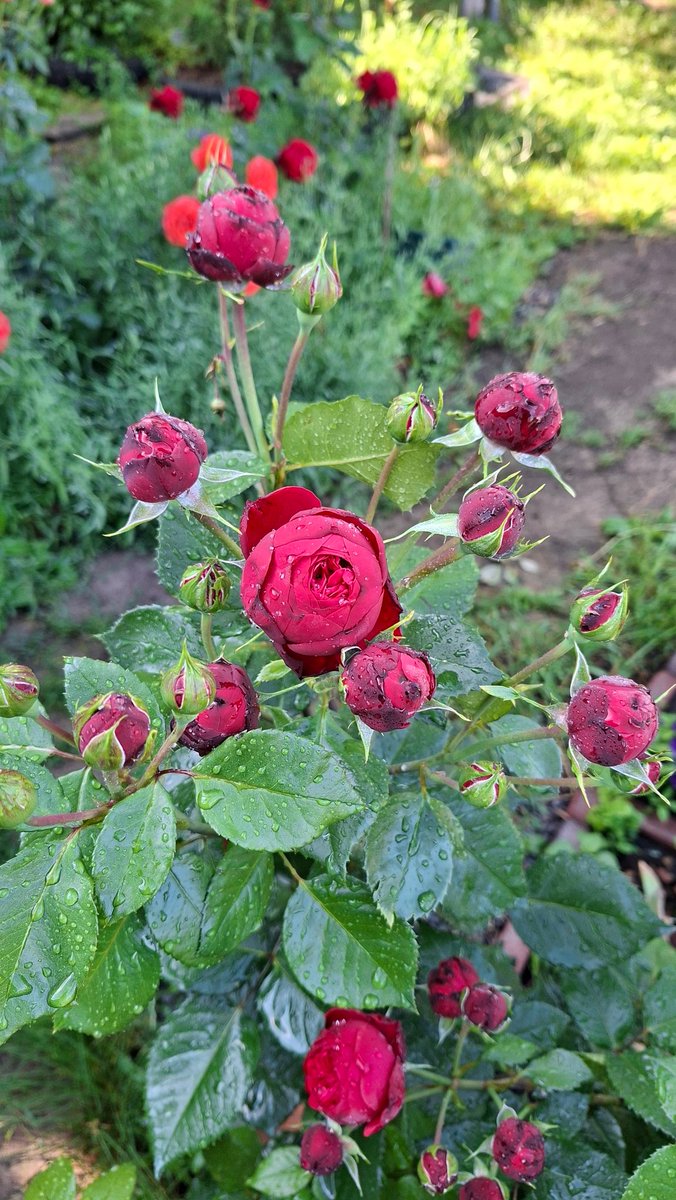 s2scool's tweet photo. Piano 1.2 https://t.co/Ur8LfMXG6h