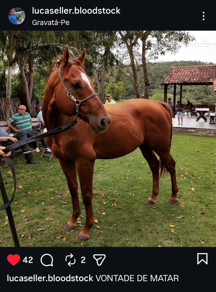 creepindisguise's tweet photo. meu sonho q desenhassem o vontade de matar eu so conheco ele por causa do nome dele mas eu adoro ele https://t.co/8axha7QueS