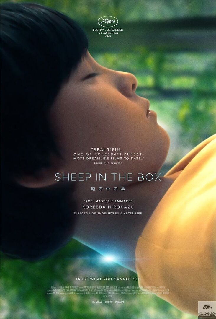 moviemnfs's tweet photo. mvs Koreeda Hirokazu's SHEEP IN THE BOX, tayang 25 Juli di bioskop https://t.co/wzZ9kz7OgV