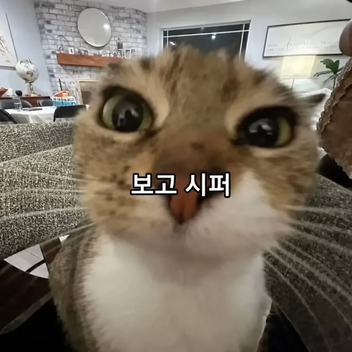 koook__901's tweet photo. 보고 시퍼 https://t.co/lXpfky9MjG