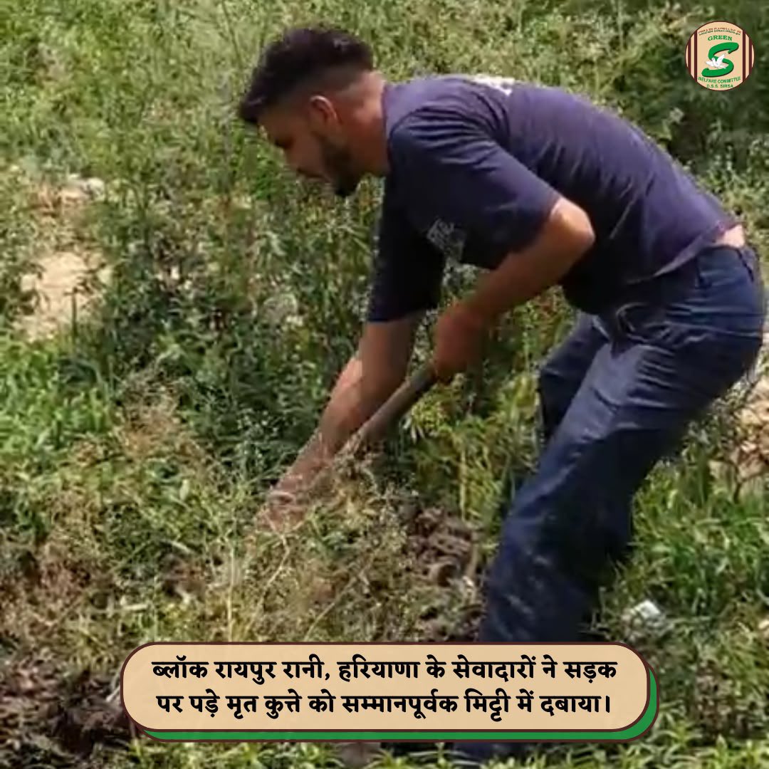 GreenSwelfares's tweet photo. हर जीवन सम्मान का हकदार है, चाहे वह बोल न सके। 🐾

ब्लॉक रायपुर रानी (हरियाणा) के शाह सतनाम जी ग्रीन 'एस' वेलफेयर कमेटी के सेवादारों ने सड़क पर मृत अवस्था में पड़े एक कुत्ते को सम्मानपूर्वक दफनाया। इस सेवा के माध्यम से उन्होंने न केवल एक बेजुबान जीव को अंतिम सम्मान दिया, बल्कि सड़क को भी सुरक्षित बनाया, जिससे राहगीरों और वाहन चालकों को किसी प्रकार की परेशानी न हो।

इंसानियत तब और खूबसूरत लगती है, जब करुणा हर जीव तक पहुँचती है। 

#RespectForLife #RoadSafety #AnimalWelfare #CareForAllLives