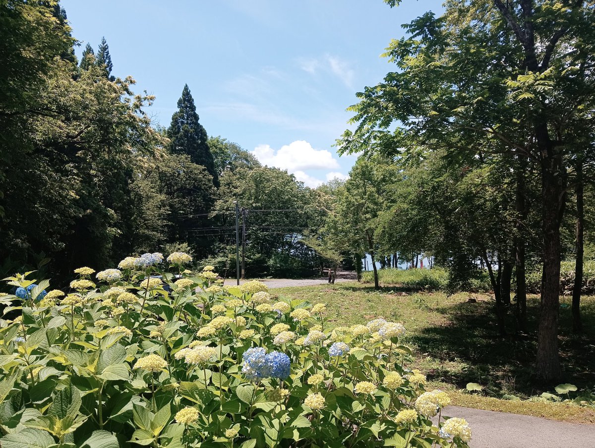 Greenlabel020's tweet photo. 湖畔で録音。 https://t.co/j8jd4XqXzV