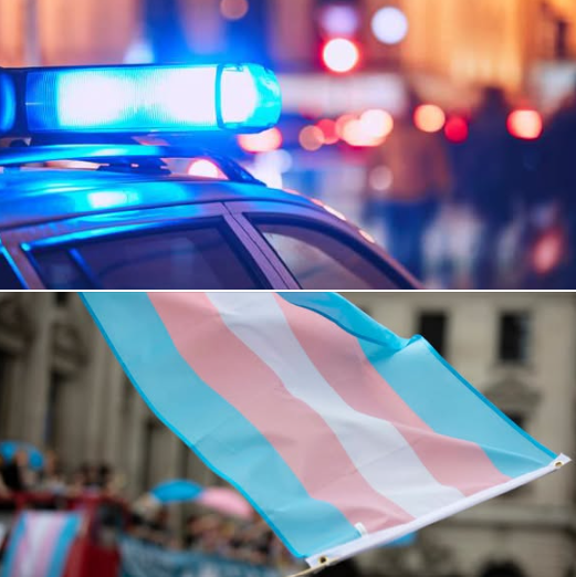 RedDiversidad's tweet photo. Mujer Trans fue brutalmente agredida en el Centro Histórico de Puebla.

Los hechos se registraron sobre la calle 9 Norte, cuando un hombre y una mujer comenzaron a increpar a la víctima con improperios transfóbicos, lo que derivó posteriormente en una agresión física. Hilo. https://t.co/TZKLgTEJxp