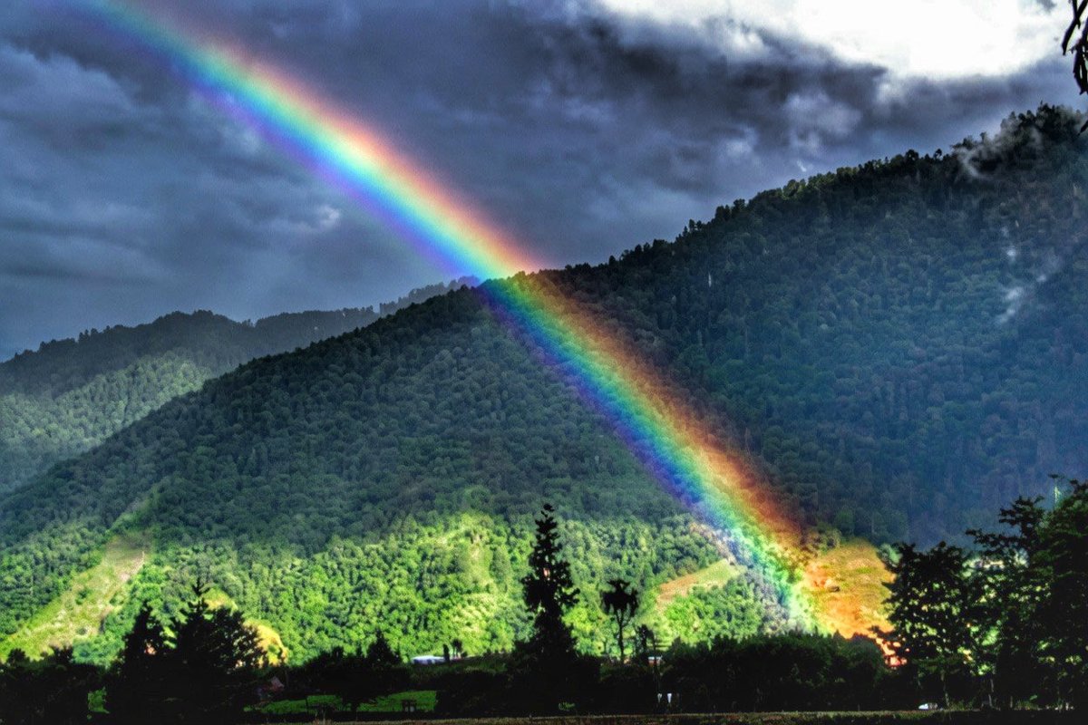 fromsamslens's tweet photo. Rainbows bloom after relentless rain, bridging earth and sky with vivid promise. Life mirrors this: through storms of struggle, we discover resilience, color, and unexpected beauty. Embrace the downpour—it crafts your rainbow. 
———————
@Theme_pic_India 
@ArunachalTsm https://t.co/qP2DA2D8d7