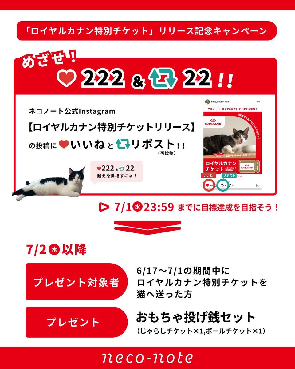 neco_note0222's tweet photo. 🐈キャンペーン 概要
◯達成条件：7/1 23:59までに対象の投稿に222いいね＆22リポスト以上
〇プレゼント配布対象：6/17~7/1の期間中にロイヤルカナン特別チケットを猫へ贈った方
〇景品：おもちゃ投げ銭セット（じゃらし×1、ボール×1）
◯配布日：7/2〜

▼対象の投稿
https://t.co/50wml26uFl

(4/4) https://t.co/TU2AlSS7Mn