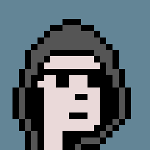 ripe0x's tweet photo. homage to the hoodie https://t.co/xYMBMvGQr9