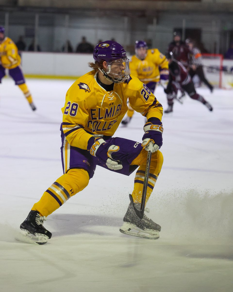 ECSoaringEagles's tweet photo. 2025-26 Men’s Ice Hockey recap!! 🏒🦅

✨ Recorded 4-3 road upset over #12 SUNY Geneseo!
✨ Season high 10 goals against King’s College!
✨ Collected a shootout victory over Nazareth on the road!
✨ 25 Players named to UCHC All-Academic Team! https://t.co/nCDbxOmsiC