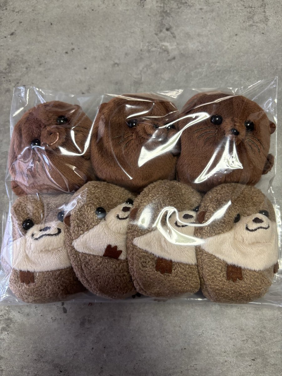 Mi74517923's tweet photo. ミニビーンズ
カワウソ🦦ちゃん
アシカ🦭ちゃん
届いた♡
可愛い〜

#ミニビーンズ
#minibeans https://t.co/P3V8rDcre4
