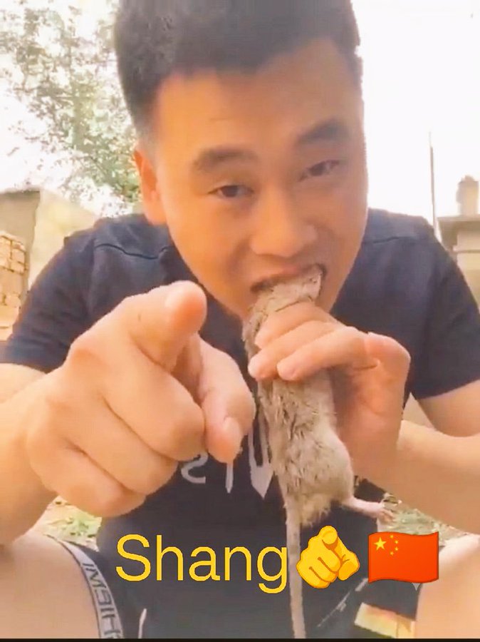 Victorr790's tweet photo. @D162Michele 😂😂 chinese virus 🦠🦠🦠 https://t.co/5DIJ5XTB9g
