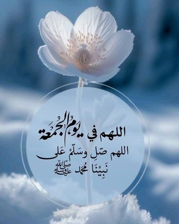 saeed_3495's tweet photo. @sssse67 @bwlz1965651 https://t.co/yAgUCpXTNc