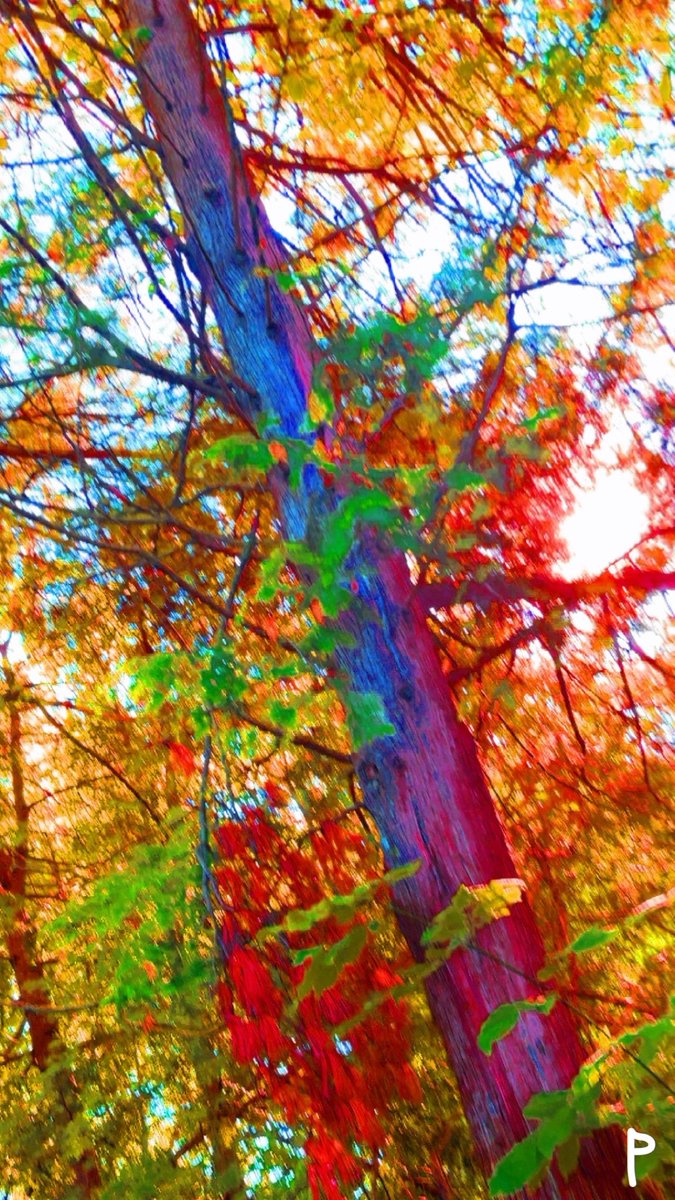 _AbstractVibez_'s tweet photo. #art #abstract #painting #paint #pattern   #colorful #color #artist #digital #digitalart #artwork #abstractart #portrait #draw #drawing #style #design #digitaldrawing
#sketch #expression #express https://t.co/Vi5Tc0iq4h