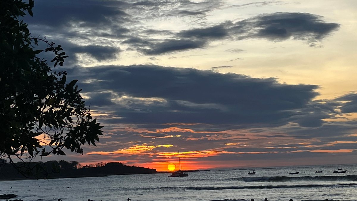 OttawaSlim's tweet photo. @tracybeanz Tamarindo. https://t.co/N65U2eEQ6y