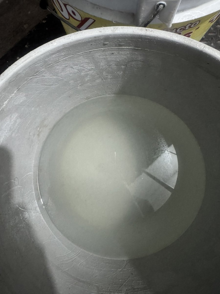 pavelljimg's tweet photo. @e_consulta 

Vecinos de la colonia Aquiles Serdán, en la zona de 4 Poniente y Diagonal Reforma Norte, en la ciudad de Puebla, reportan que el agua que llegó hoy a sus cisternas presenta un fuerte olor a diésel y aparente contaminación. https://t.co/mHjZ7MAbGA