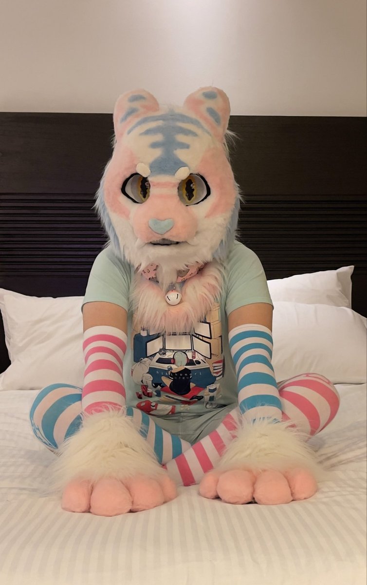 PalkiWolf's tweet photo. I’m so eepy today, I just wanna stay in bed….

come cuddle? 🥺 https://t.co/aN3QK4eiX3