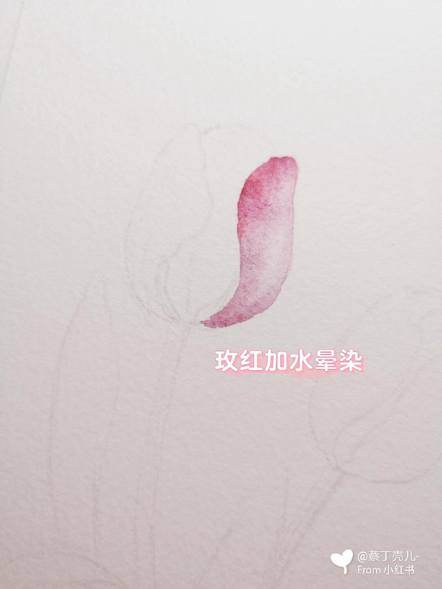 BuharinGleb's tweet photo. Want to pick up a new hobby Try watercolor painting—no fancy skills needed, just paper, basic brushes and lots of fun! https://t.co/lOFsjc6NDh