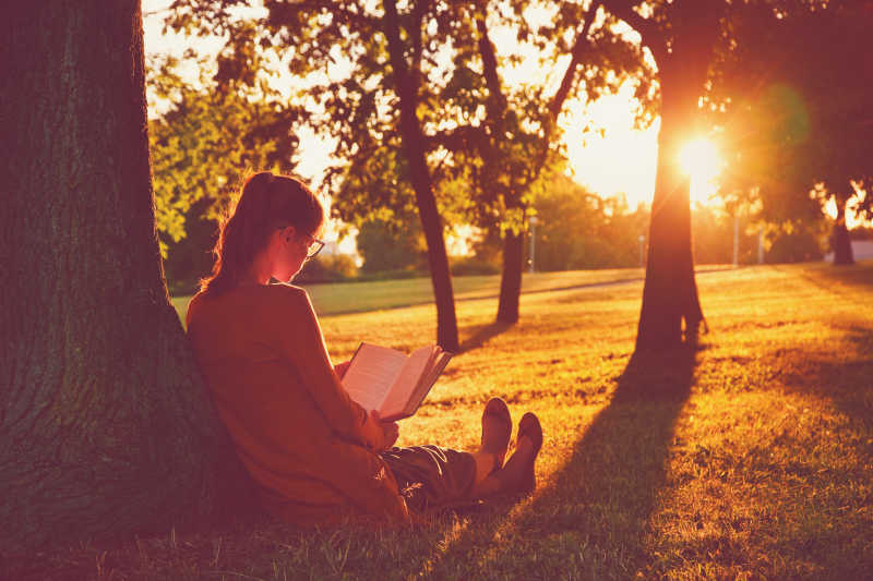 FoxPlus18's tweet photo. Chasing golden hour vibes with a cold latte and a good book under the tree https://t.co/ZyzwXm9v53