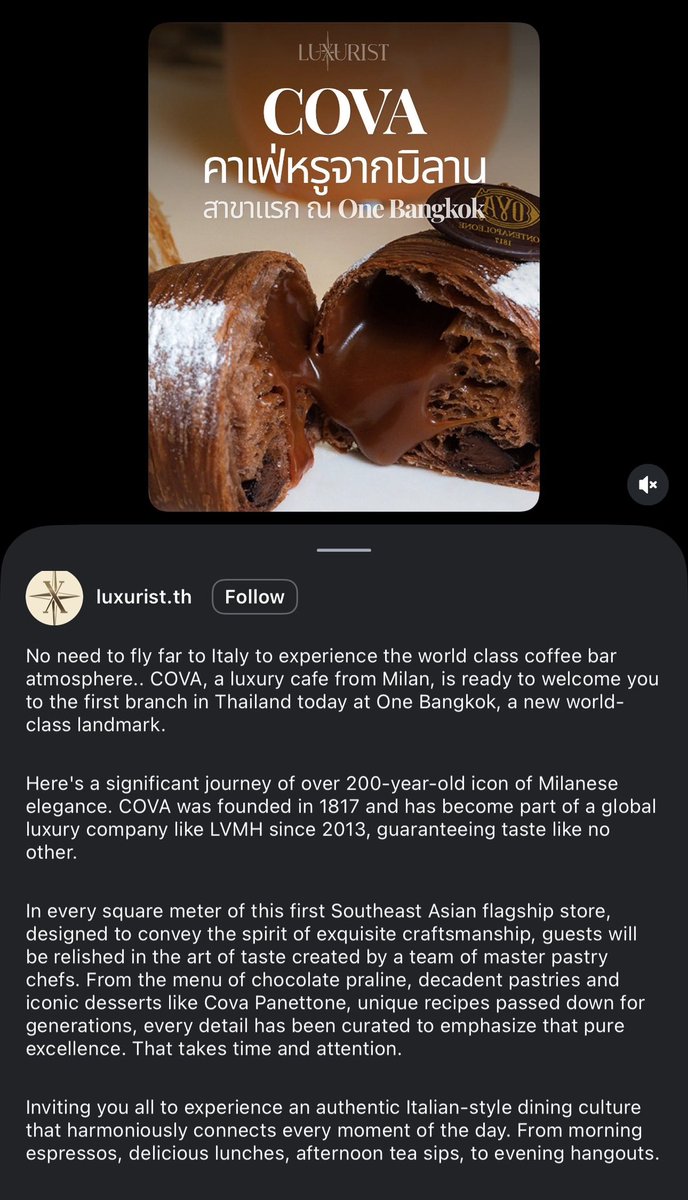 Hanuu tweet media
