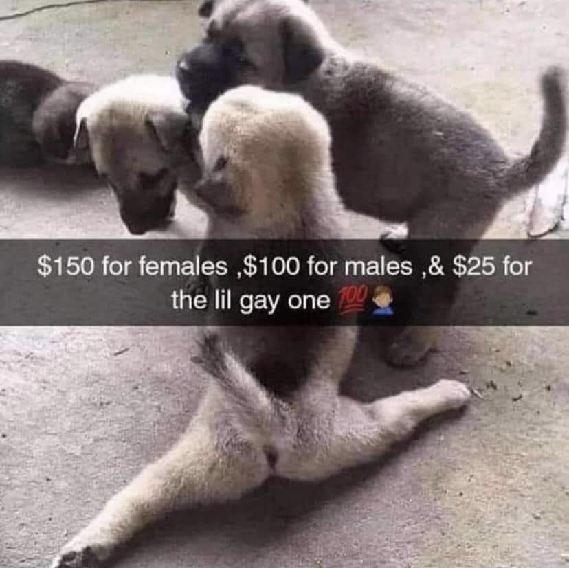 JakeWall682576's tweet photo. @D0NKFORTRESS Can I have some context https://t.co/nvXDPtN4Ip