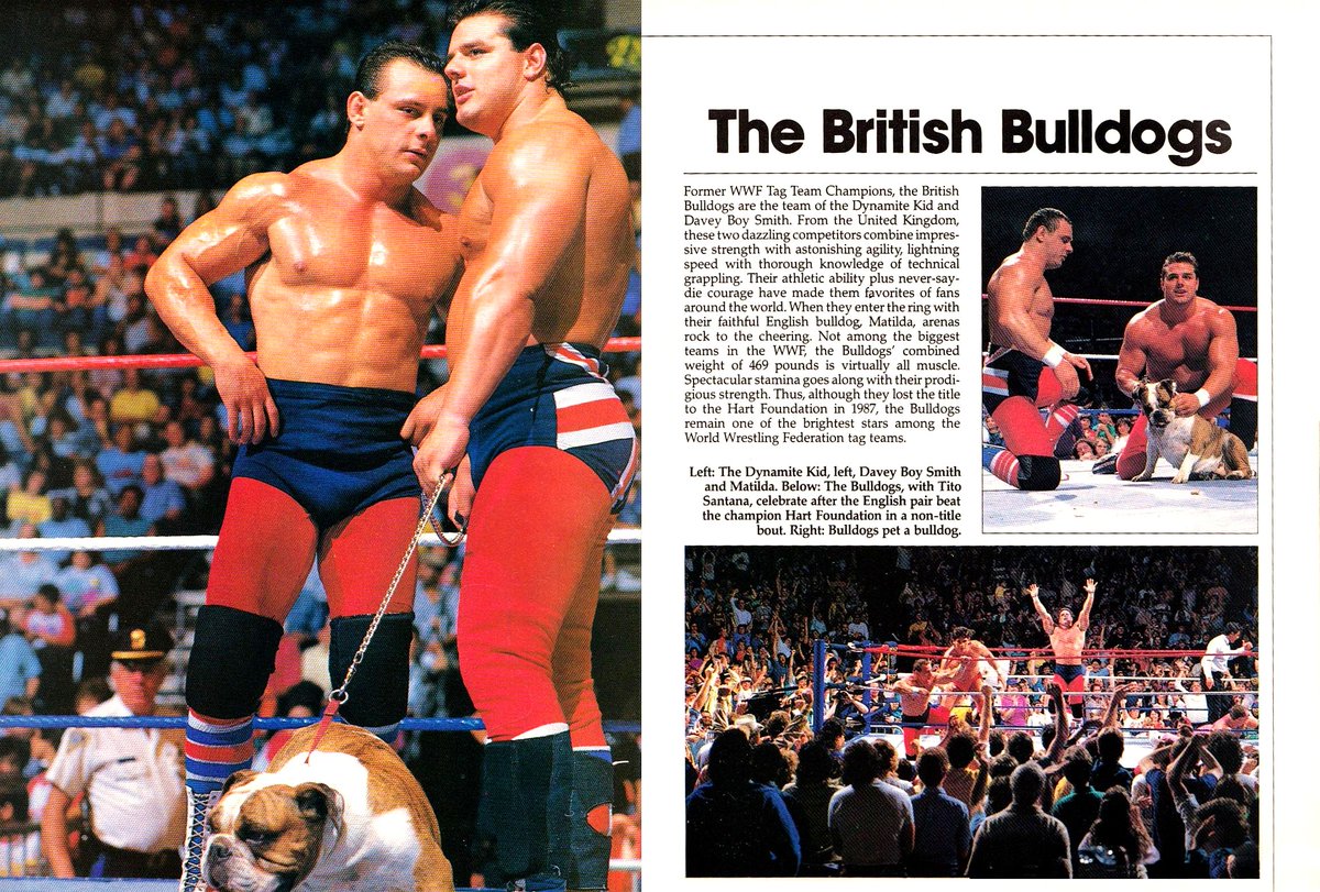 WWFWrestling1's tweet photo. Profile of the British Bulldogs from WWF Superstars II magazine published in 1987. 🇬🇧🐾 #WWF #WWE #BritishBulldogs #DynamiteKid #DaveyBoySmith https://t.co/xikn60etYD
