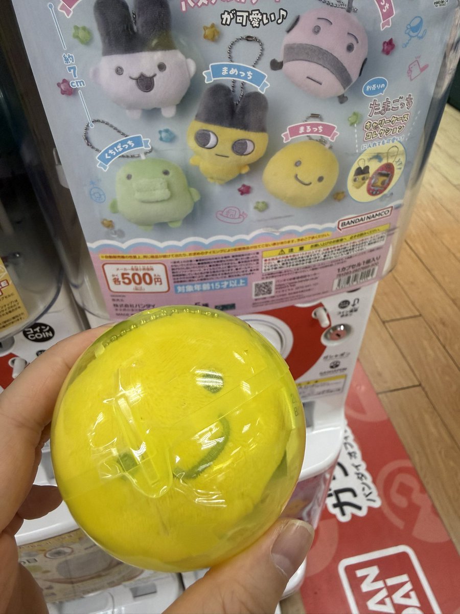 b6pilbl's tweet photo. 【交換】たまごっち ぬいぐるみマスコット ガチャ

譲｜まるっち

求｜みみっちorくちぱっち

郵送希望
カプセルから出してOPPでこん包

お気軽にお声掛けください🌸 https://t.co/4MUYLbEsNv